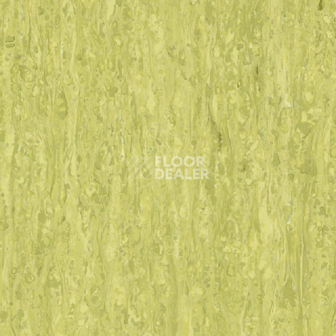 Линолеум Tarkett iq Optima Yellow Green 0254 фото 1 | FLOORDEALER